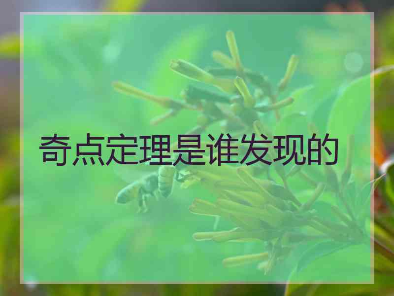 奇点定理是谁发现的