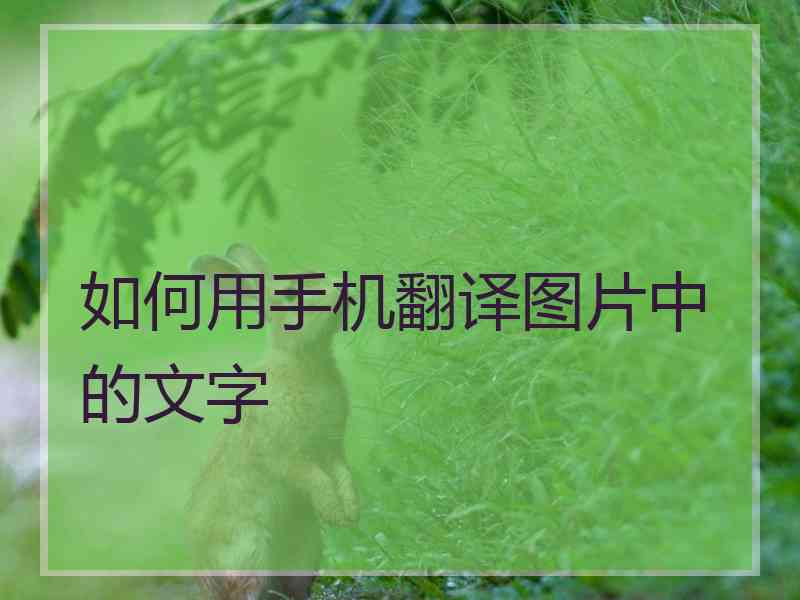 如何用手机翻译图片中的文字