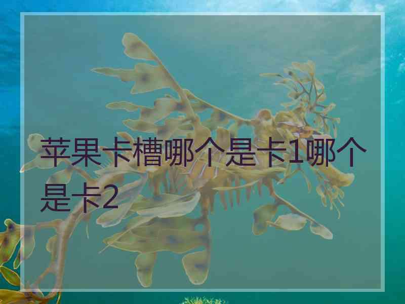 苹果卡槽哪个是卡1哪个是卡2