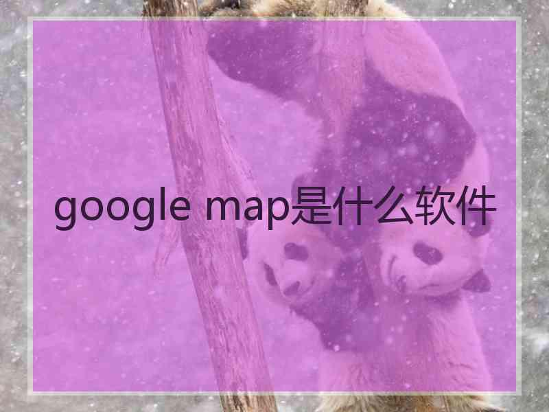 google map是什么软件