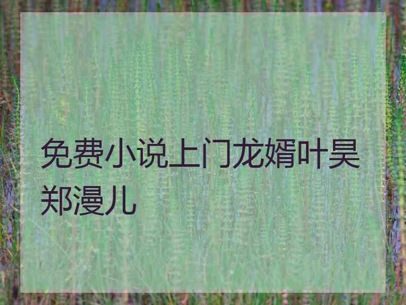 免费小说上门龙婿叶昊郑漫儿