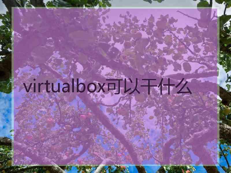 virtualbox可以干什么