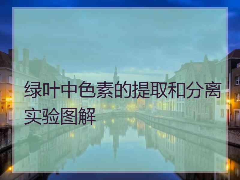 绿叶中色素的提取和分离实验图解