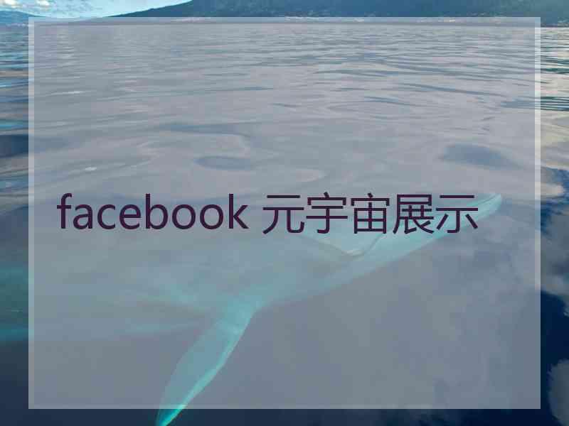 facebook 元宇宙展示