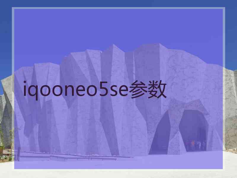 iqooneo5se参数