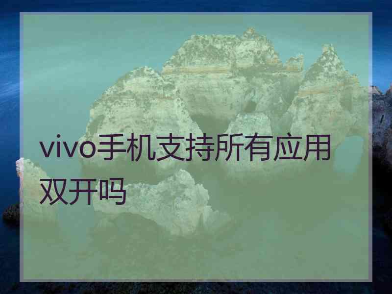 vivo手机支持所有应用双开吗