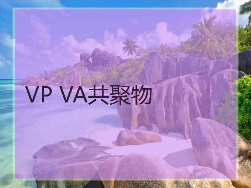 VP VA共聚物