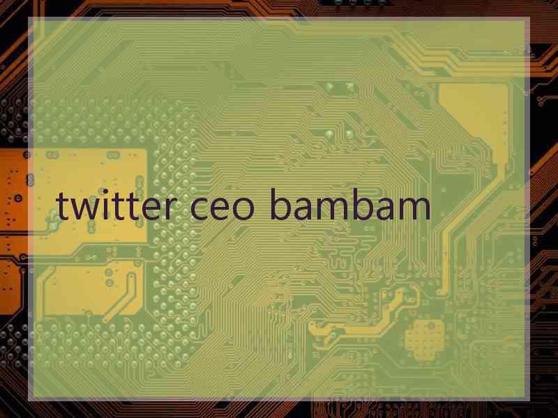 twitter ceo bambam