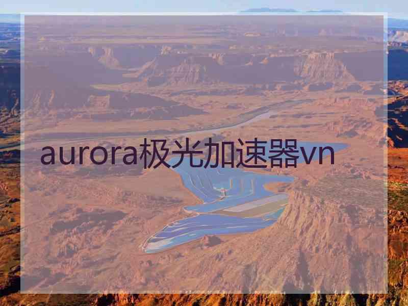 aurora极光加速器vn