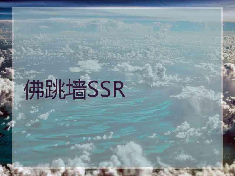 佛跳墙SSR