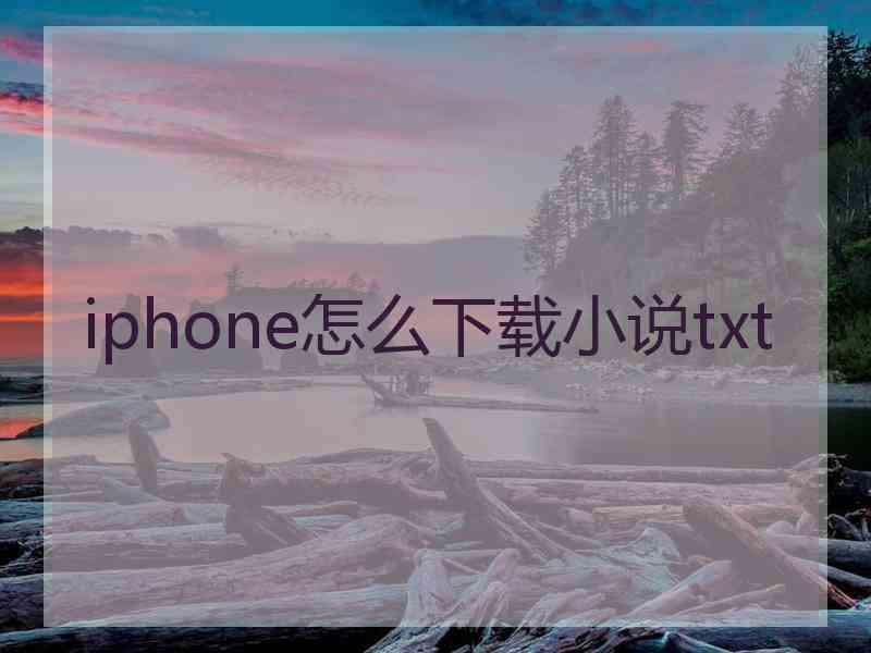 iphone怎么下载小说txt