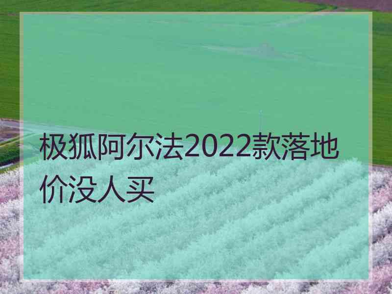 极狐阿尔法2022款落地价没人买