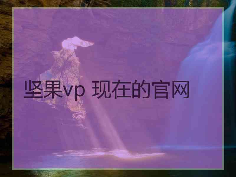 坚果vp 现在的官网