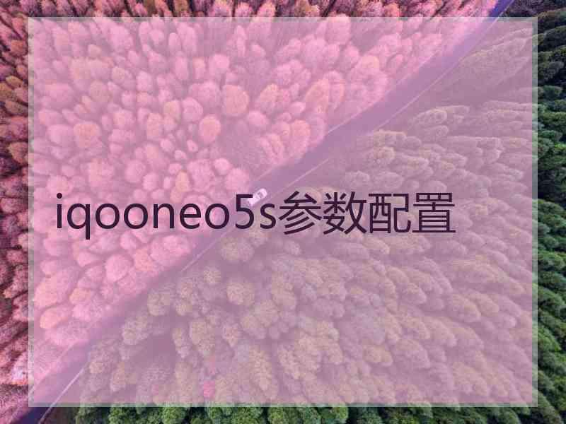 iqooneo5s参数配置