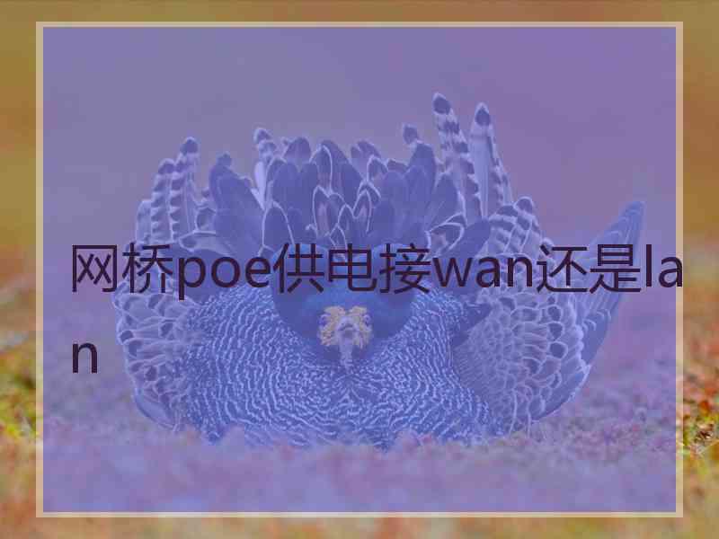 网桥poe供电接wan还是lan