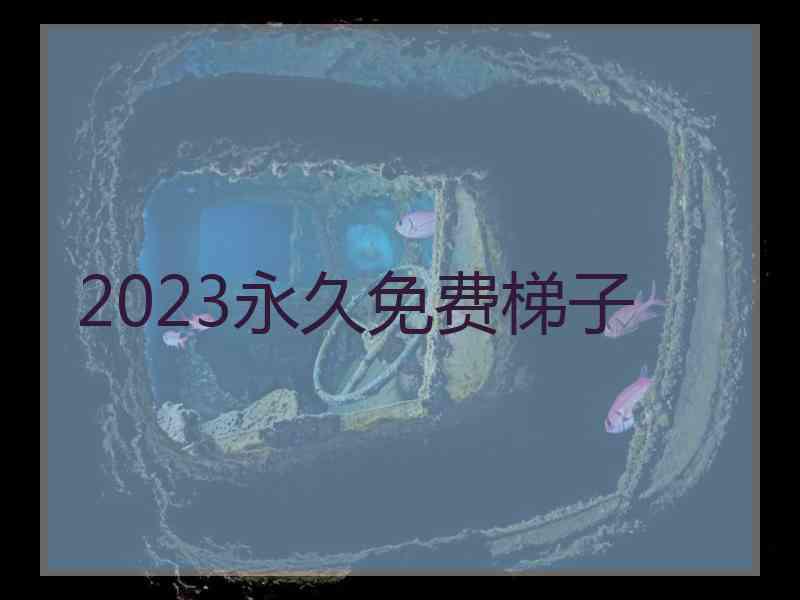 2023永久免费梯子