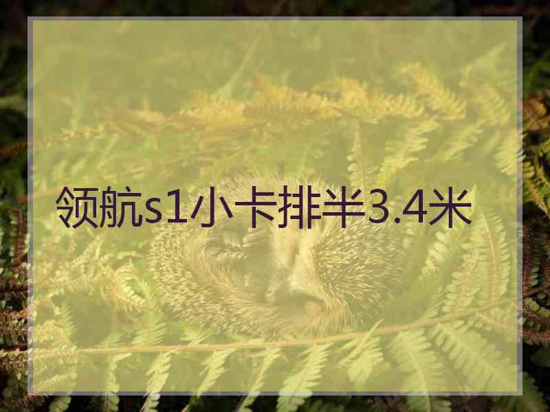 领航s1小卡排半3.4米