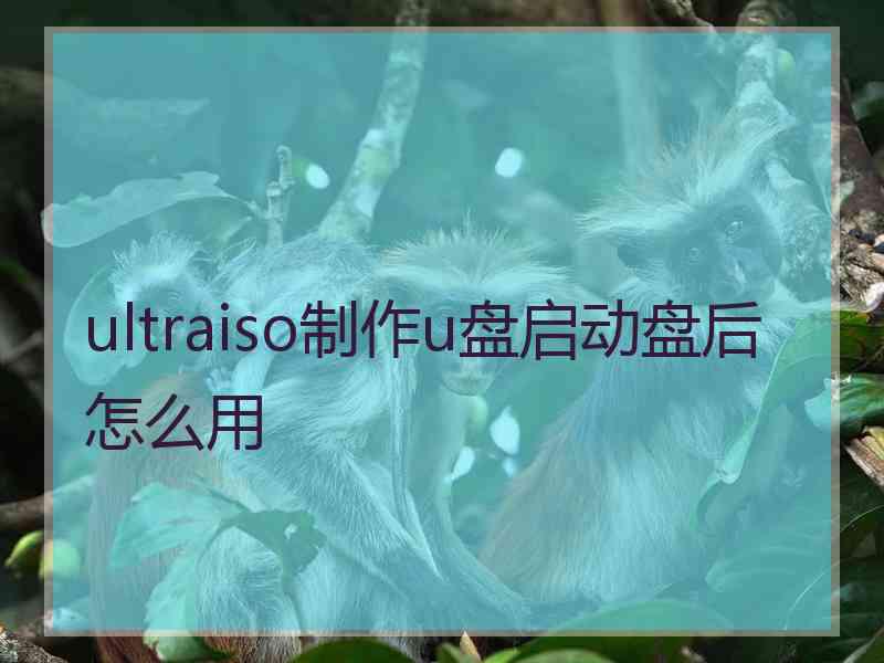 ultraiso制作u盘启动盘后怎么用