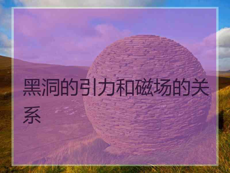 黑洞的引力和磁场的关系