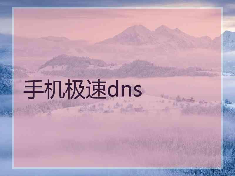 手机极速dns