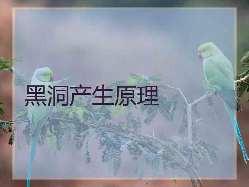 黑洞产生原理