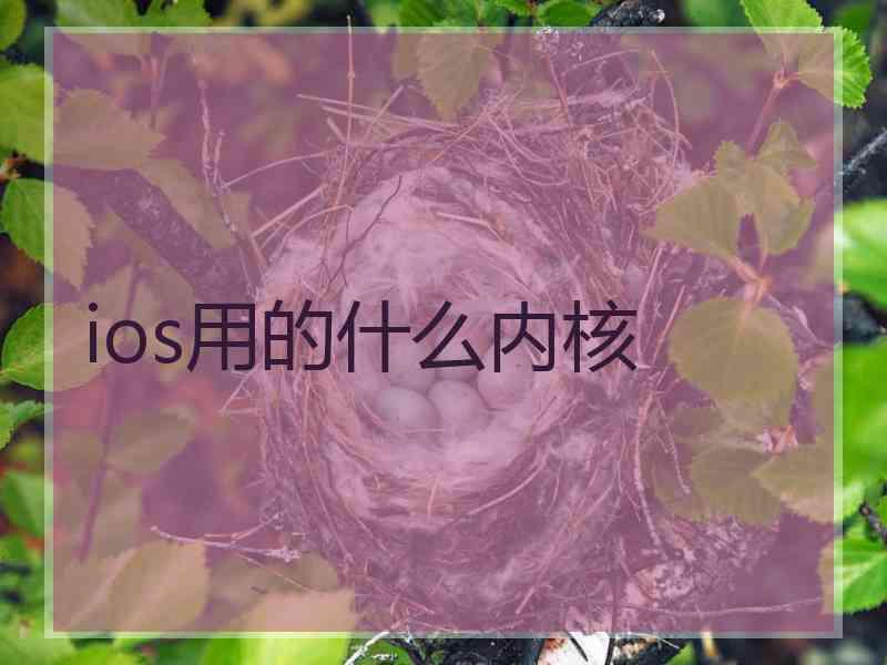 ios用的什么内核