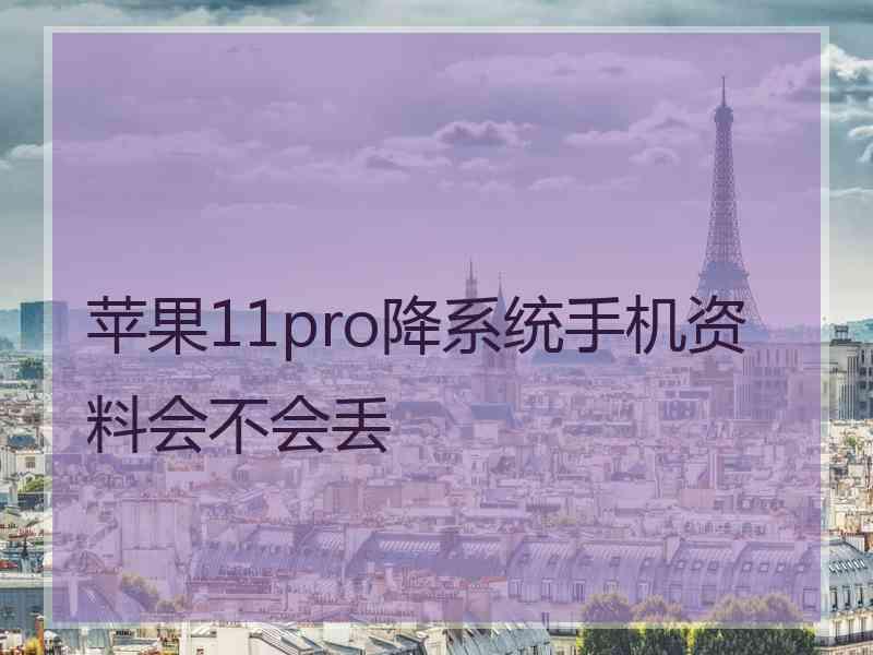 苹果11pro降系统手机资料会不会丢