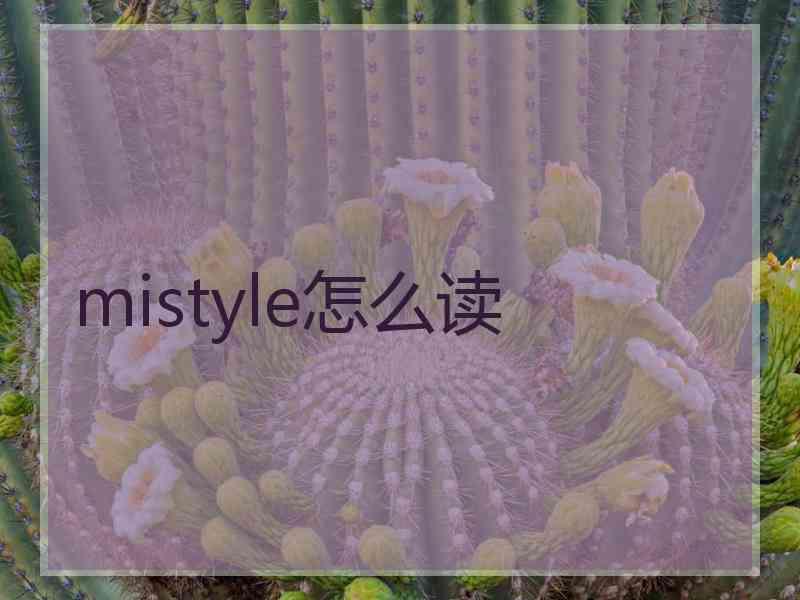 mistyle怎么读