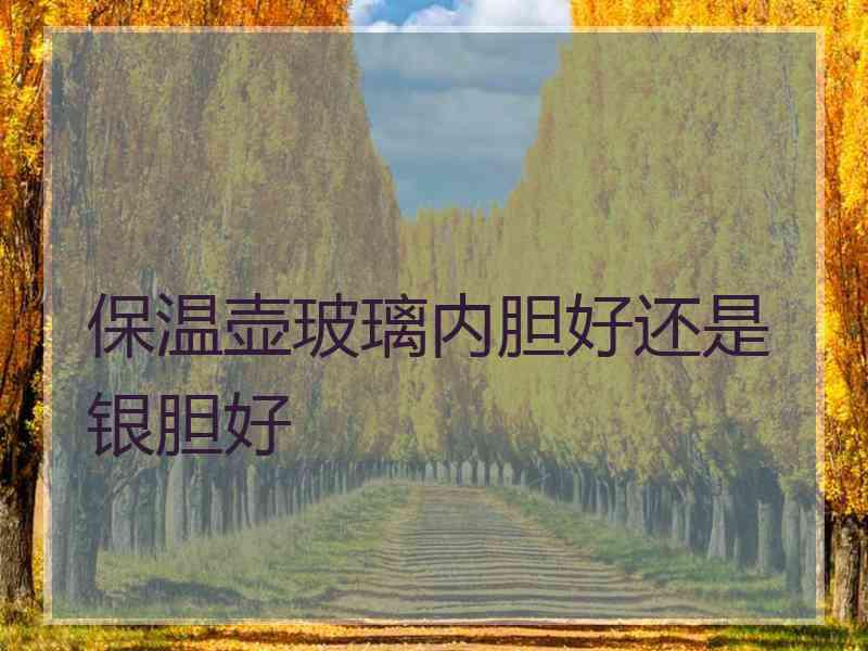 保温壶玻璃内胆好还是银胆好