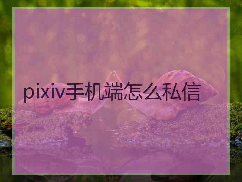 pixiv手机端怎么私信