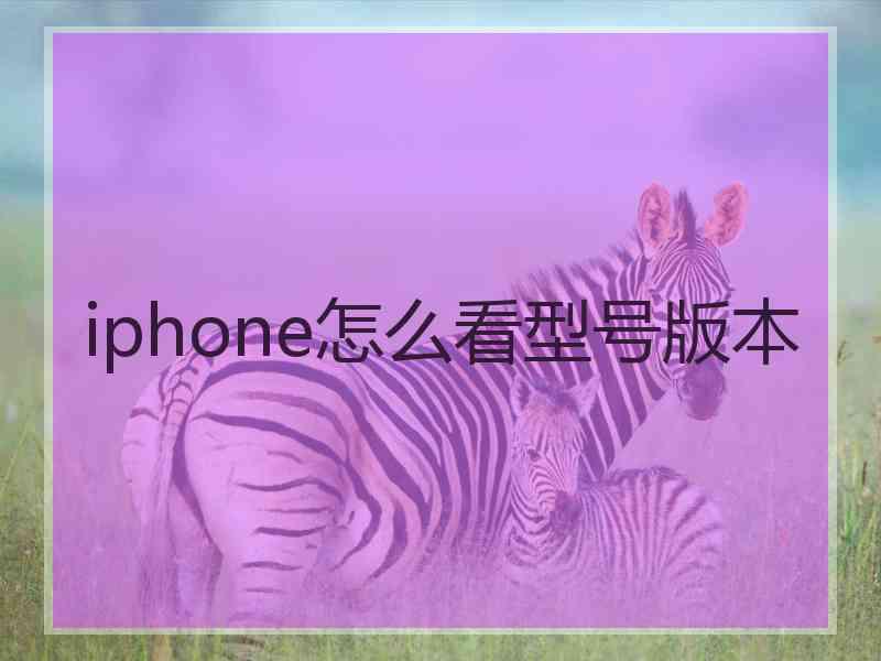 iphone怎么看型号版本