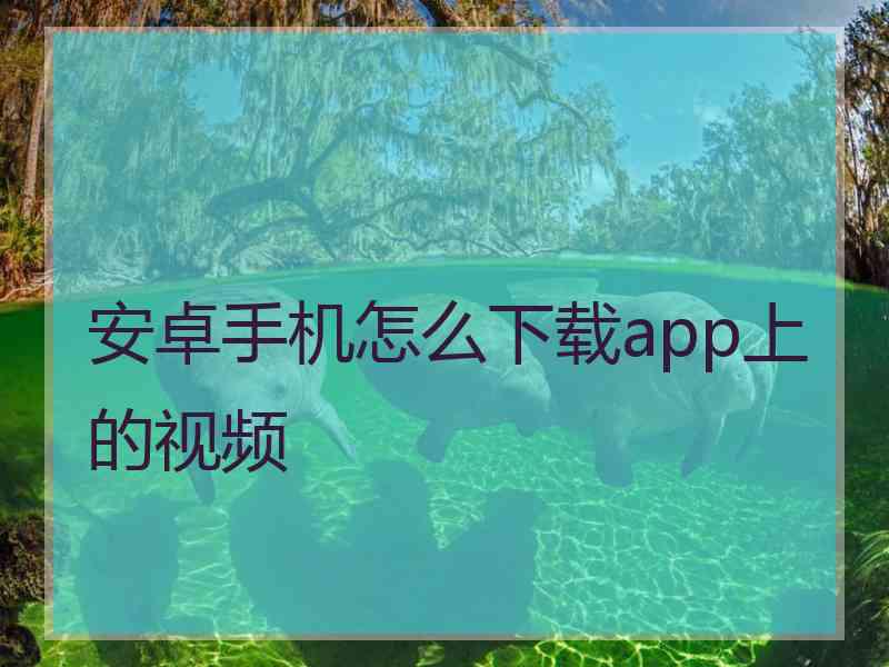 安卓手机怎么下载app上的视频