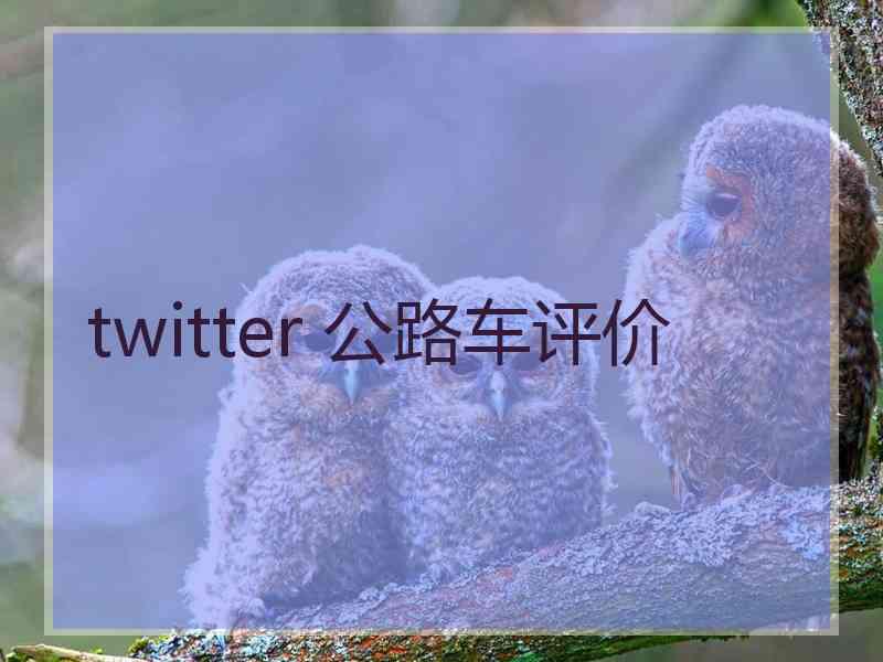 twitter 公路车评价