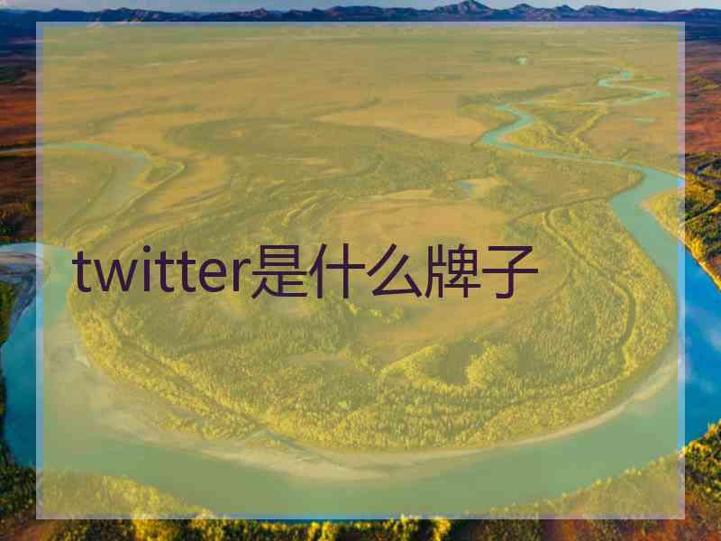 twitter是什么牌子