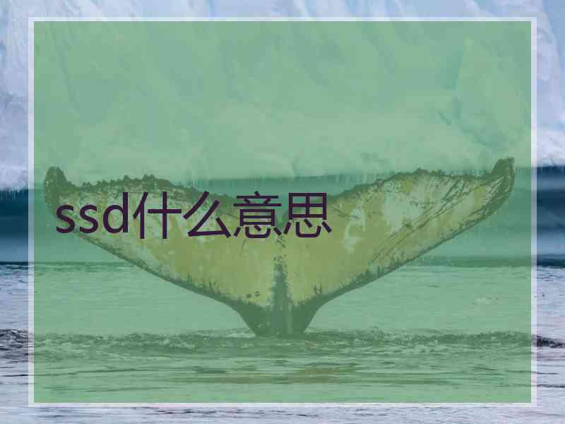 ssd什么意思