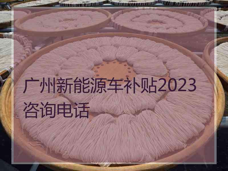 广州新能源车补贴2023咨询电话