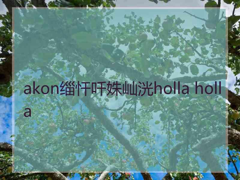 akon缁忓吀姝屾洸holla holla