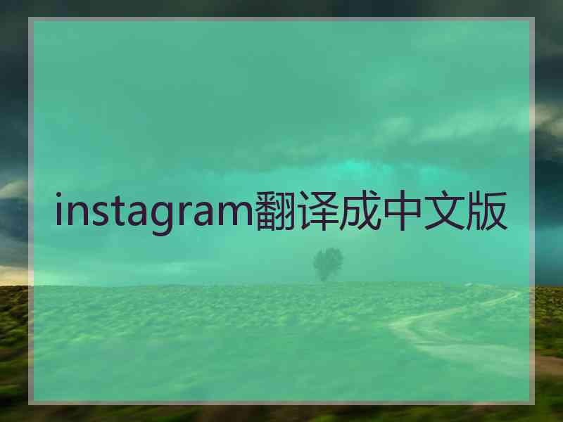 instagram翻译成中文版