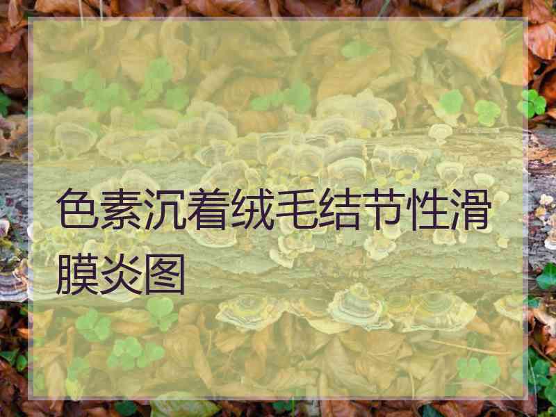 色素沉着绒毛结节性滑膜炎图