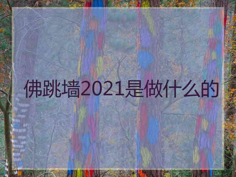 佛跳墙2021是做什么的