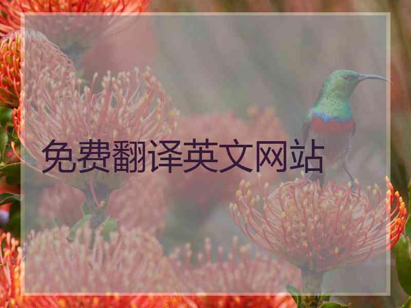 免费翻译英文网站