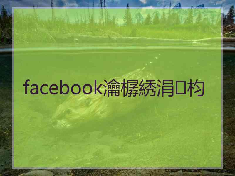 facebook瀹樼綉涓枃