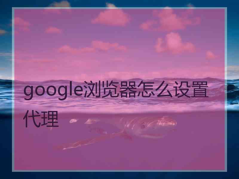 google浏览器怎么设置代理