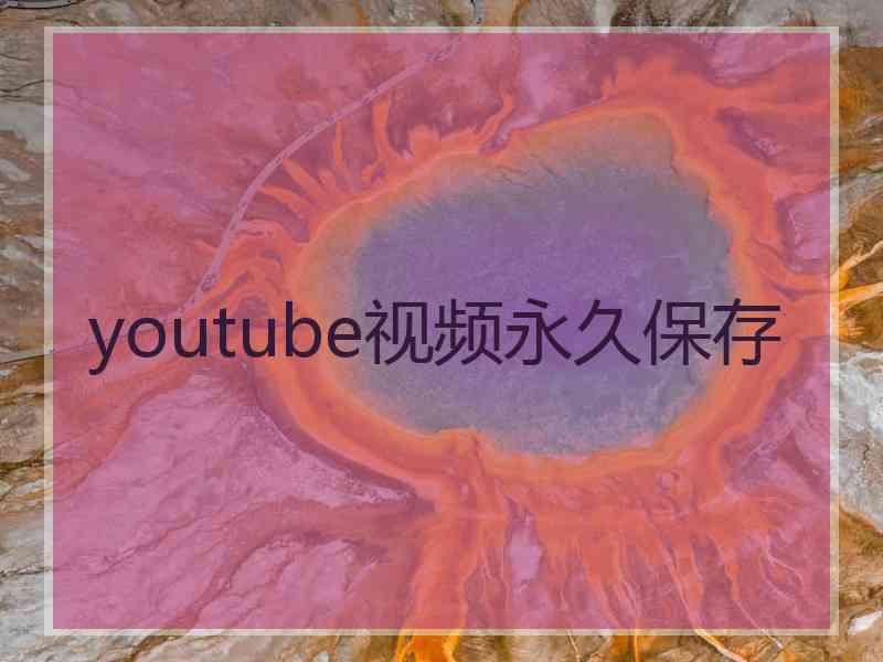 youtube视频永久保存