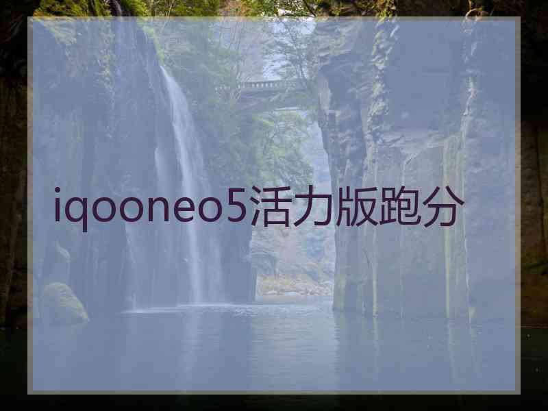 iqooneo5活力版跑分