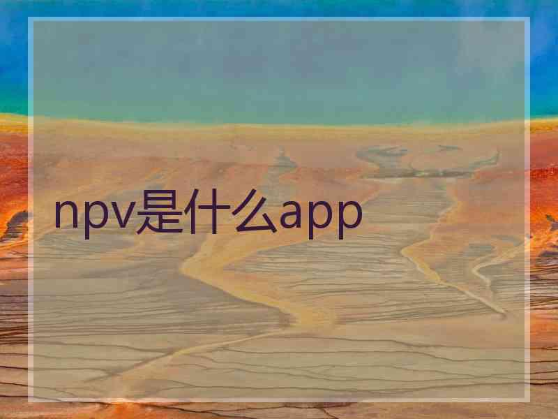 npv是什么app