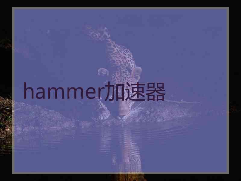 hammer加速器