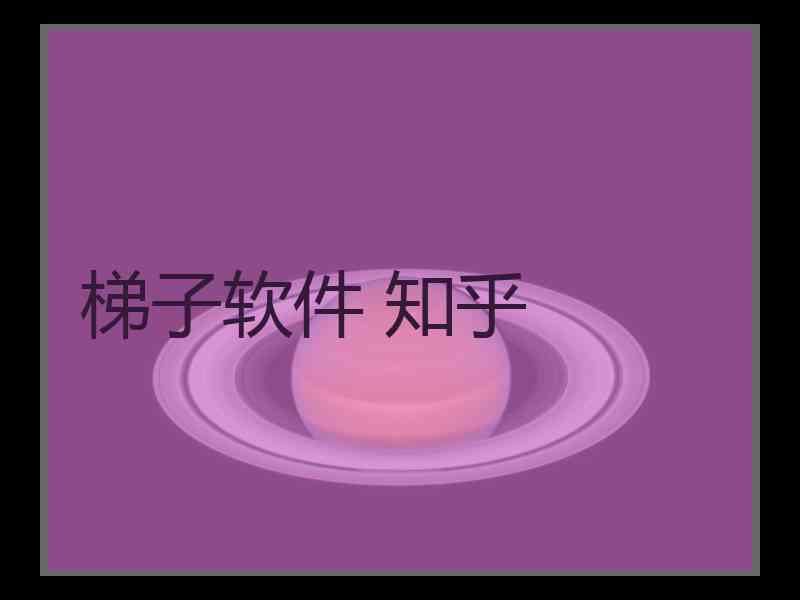 梯子软件 知乎