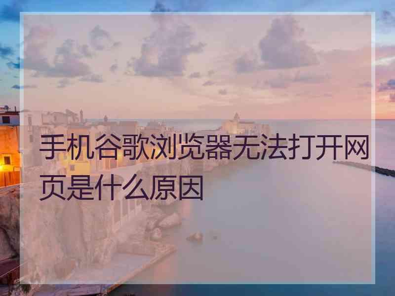 手机谷歌浏览器无法打开网页是什么原因