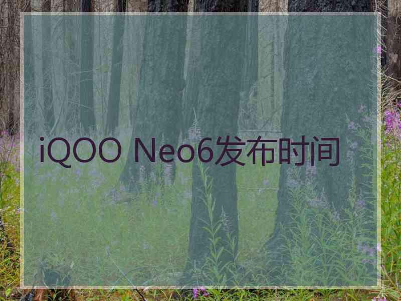 iQOO Neo6发布时间